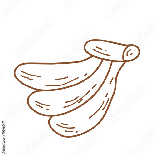 Banana Illustration 