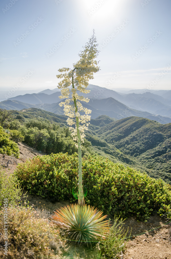 Obraz premium Santa Barbara Backcountry
