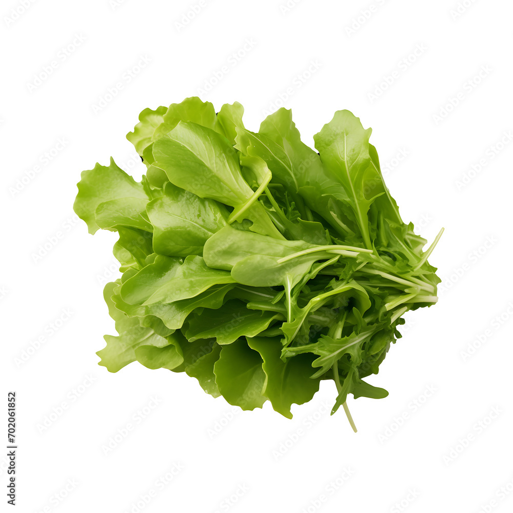 Salad mix with rucola, frisee, radicchio and lamb's lettuce. Isolated on png background. Salad mix with rucola, frisee, radicchio and lamb's lettuce. Isolated on png background.
