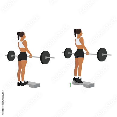 Woman doing standing calf raises with barbell exercise. Flat vector illustration isolated on white background