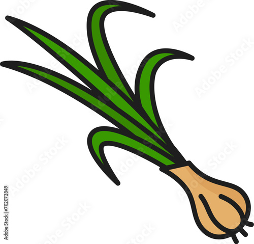 Onion root vegetable with leaves, color outline icon. Vector grocery veggie spicy food. Whole nutrition tuber. Root vegetable, onion unpeeled bulb