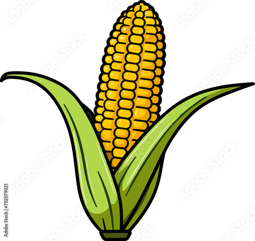 Corn on the cob vector illustration