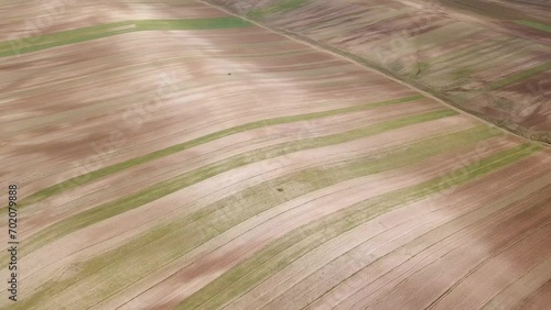 Rainfed wheat farm traditional dry cultivation rye barley agriculture fresh organic harvest in Iran hill aerial shot in summer season craft beer factory smooth texture pattern in land local farmer  photo