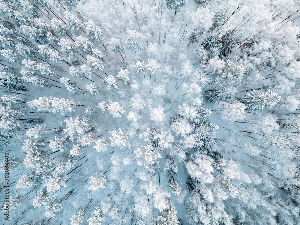 Fototapeta premium Aerial view of a frozen forest as background. Winter Nature From the above.