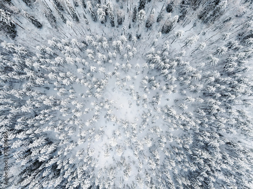 Aerial view of a frozen forest as background. Winter Nature From the above.