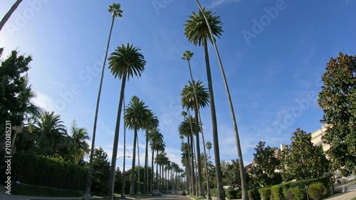 Los Angeles, Driving a cabriolet on the famous Beverly Hills Drive street in LA. The famous street with luxury residential homes. Travel, summer, vacation, USA concept