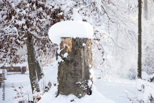Schnee auf einem Baumstumpf