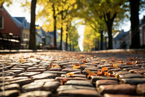 a brick road with trees in the background