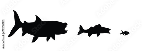 The Silhouettes of a wild predatory marine fish.
