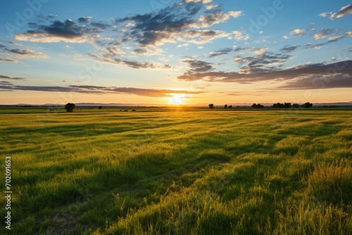 a field of grass with the sun setting behind it
