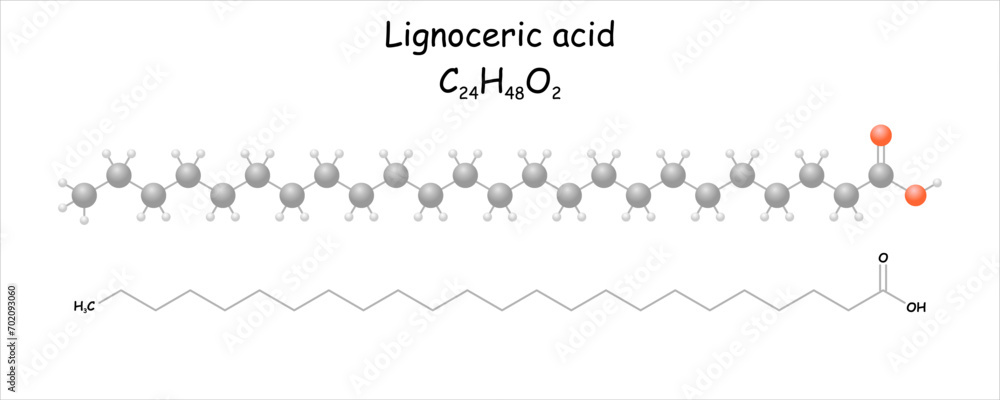 Lignoceric acid. Stylized molecule model and structural formula. Lignoceric acid. Stylized molecule model and structural formula.
