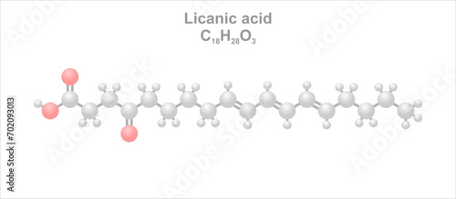 Licanic acid. Simplified scheme of the molecule. Occurs in Licania rigida.
