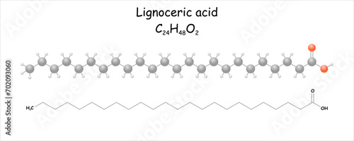 Lignoceric acid. Stylized molecule model and structural formula. 