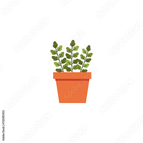 set of plants with brown pots plant