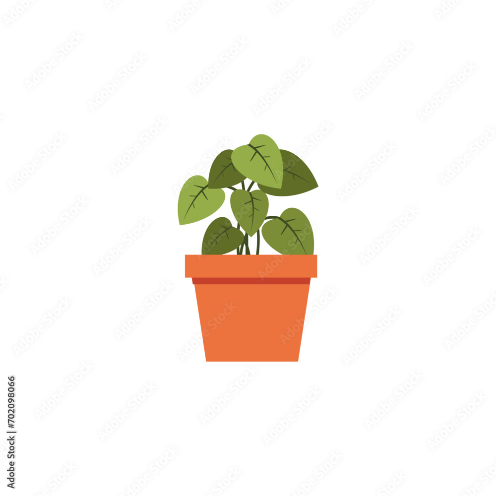 Obraz premium set of plants with brown pots plant