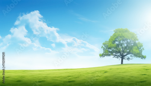 Lonely tree on the background of the sky and meadow in summer