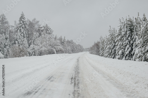 a road in a snowy winter forest after a snowfall