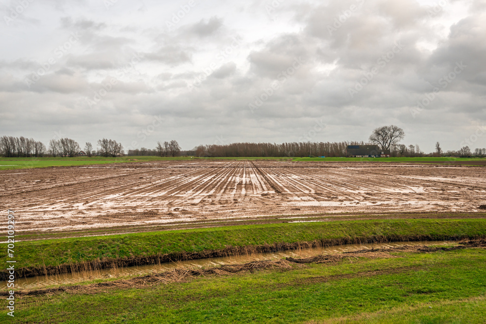 Dutch field after persistent rain. The photo was taken in the province of North Brabant on a heavily cloudy day in early winter.