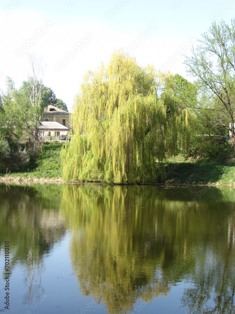 Obraz premium house on the river