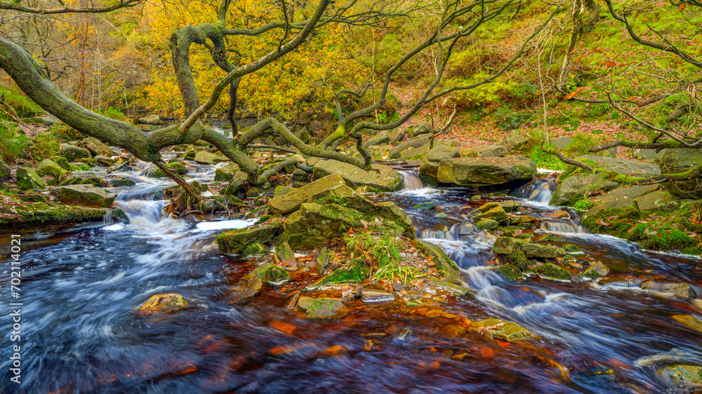 stream in the forest, Middle Black Clough Waterfall