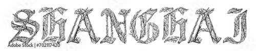 Photography shanghai word with branches hand drawing vector isolated on background