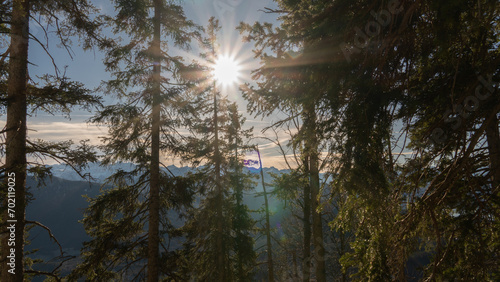 Sunset as seen through pine trees in the Bavarian Alps