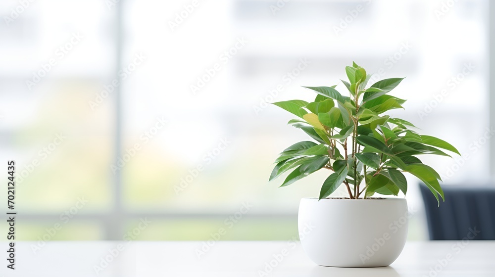 Desk plant and workspace in an empty blurry space , Desk plant, workspace, empty blurry space Desk plant and workspace in an empty blurry space , Desk plant, workspace, empty blurry space