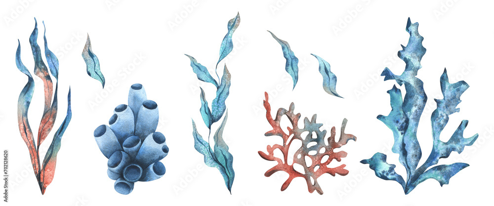 Underwater world clipart with sea animals coral and algae. Hand drawn watercolor illustration. Set of isolated objects on a white background. - obrazy, fototapety, plakaty 