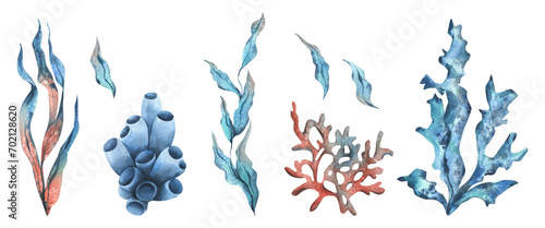 Underwater world clipart with sea animals coral and algae. Hand drawn watercolor illustration. Set of isolated objects on a white background.