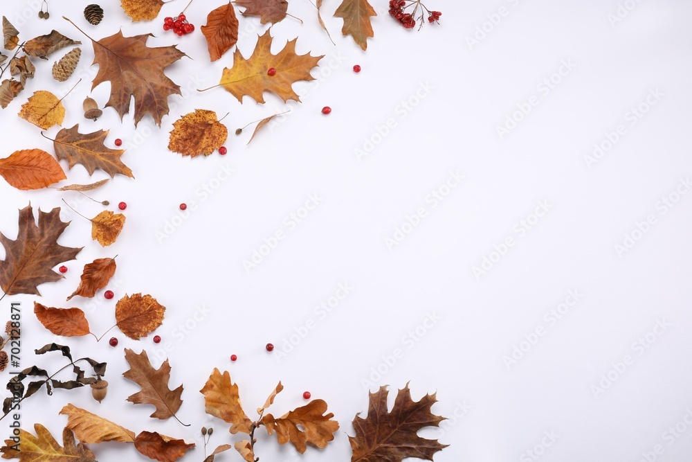Dry autumn leaves, cones, acorns and berries on white background, flat lay. Space for text