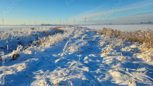Winterliche Landschaft © Gene