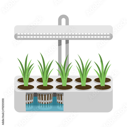 Hydroponic System - indoor gardening