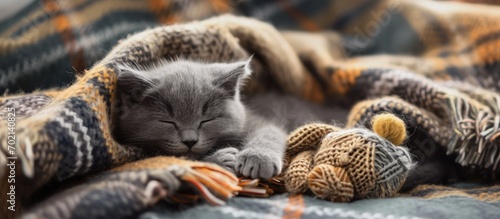 gray kitten sleeping on gray plaid wool blanket with tassels embracing soft knitted toy. with copy space image. Place for adding text or design