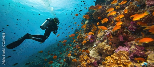 Female scuba diver exploring the reef with plate coral Genus Acropora and some Blackspotted sweetlips fish Plectorhinchus gaterinus in tropical water in Nosy Sakatia Madagascar. with copy space image photo