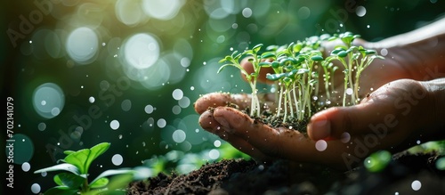 Agricultural technologies for growing plants and scientific research in the field of biology and chemistry of nature Living green sprout in the hands of a farmer Organic digital background