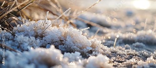 Closeup on fresh salt crystals and saltwater in a salt marsh in Brittany France. with copy space image. Place for adding text or design