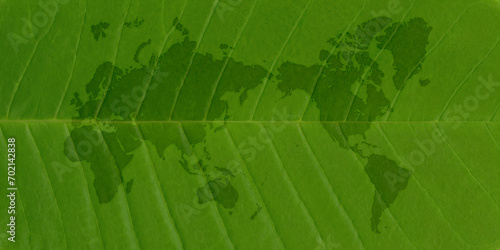 大きな緑の葉っぱに描いた、葉脈が美しい世界地図 photo