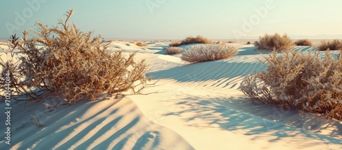 Arid desert landscape deser...