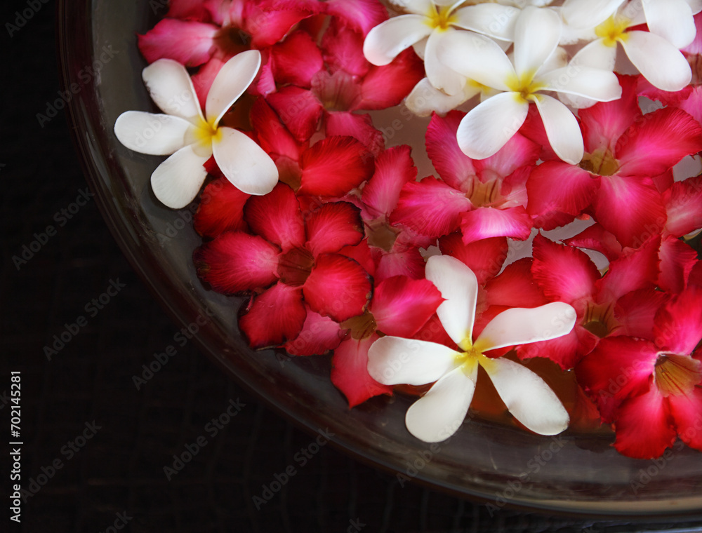Bowl of water with pink and white flowers Bowl of water with pink and white flowers