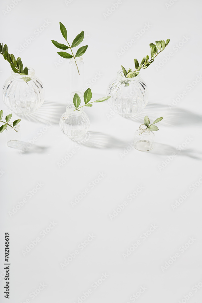 minimalistic composition of a glass vase and a green leaf