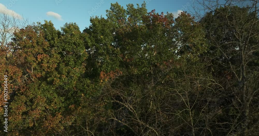 Flight Through Fall Trees Revealing West Fork White River At Combs Park In Fayetteville, Arkansas. aerial shot