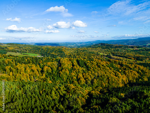 Fall colors in Austrian Burgenland. Aerial view on autumn forest. Beautiful nature aerial view.