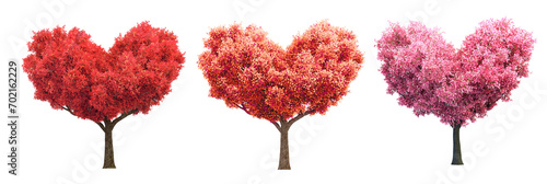 set of red and pink bloom trees in shape of heart, valentine 3D illustration isolated on transparent background, png