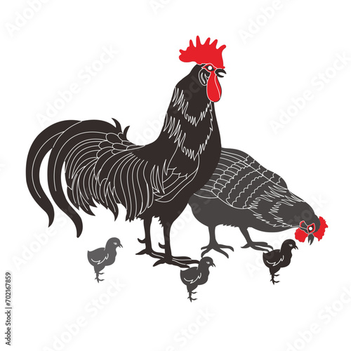 rooster and hen with chicks silhouette vector style with transparent background