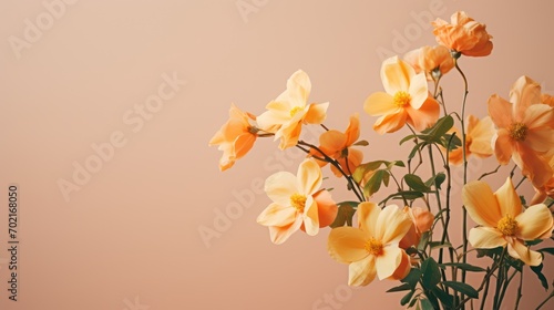 Isolated flowers on a colored background © Terablete