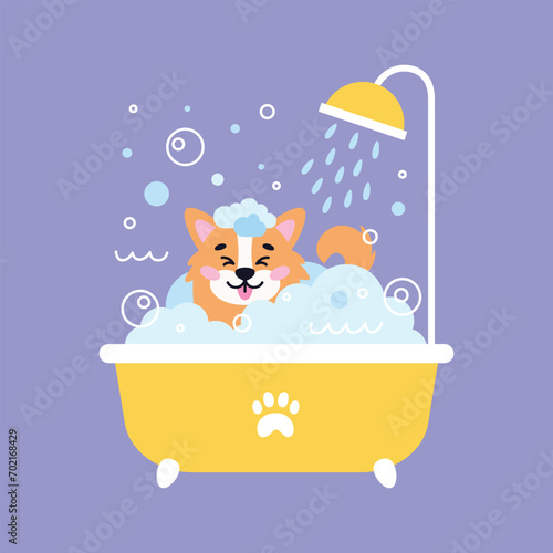 Dog pet grooming. Caring about dog Corgi. Pet washing in bath with watering can for shower. Flat vector illustration