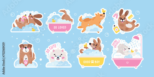 Dog pet grooming stickers. Caring about dogs. Set of vector flat pet washing illustrations photo