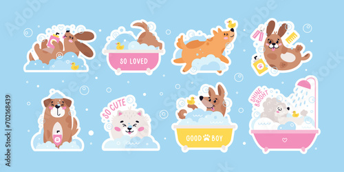 Dog pet grooming stickers. Caring about dogs. Set of vector flat pet washing illustrations