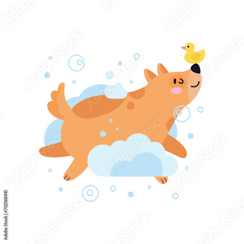 Dog pet grooming. Caring about dog. Pet washing service. Happy bathing pet. Flat vector illustration