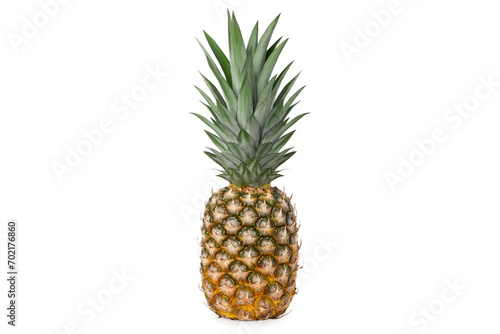 Fresh juicy tasty pineapple whole isolated.